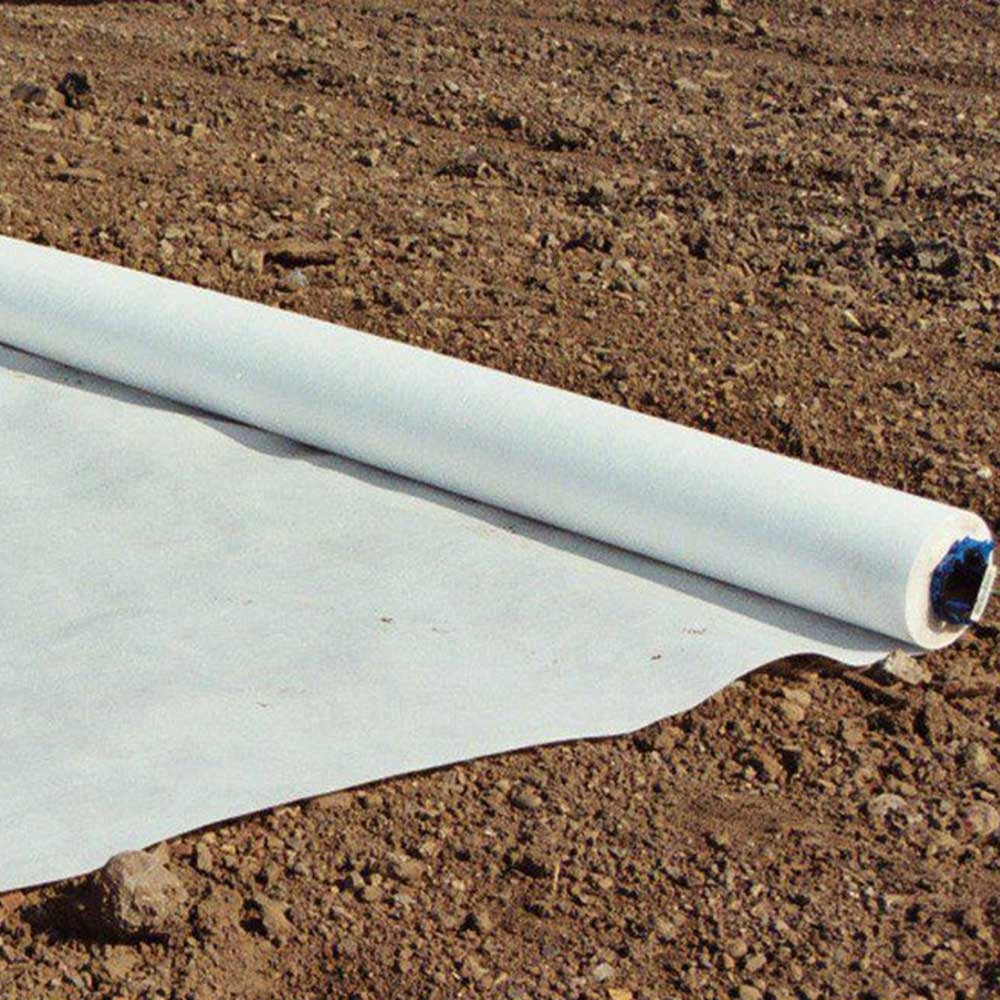 Membrane up close - rolled out.