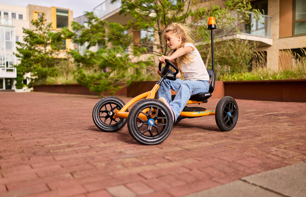 BERG Flashing Light Buzzy & Reppy