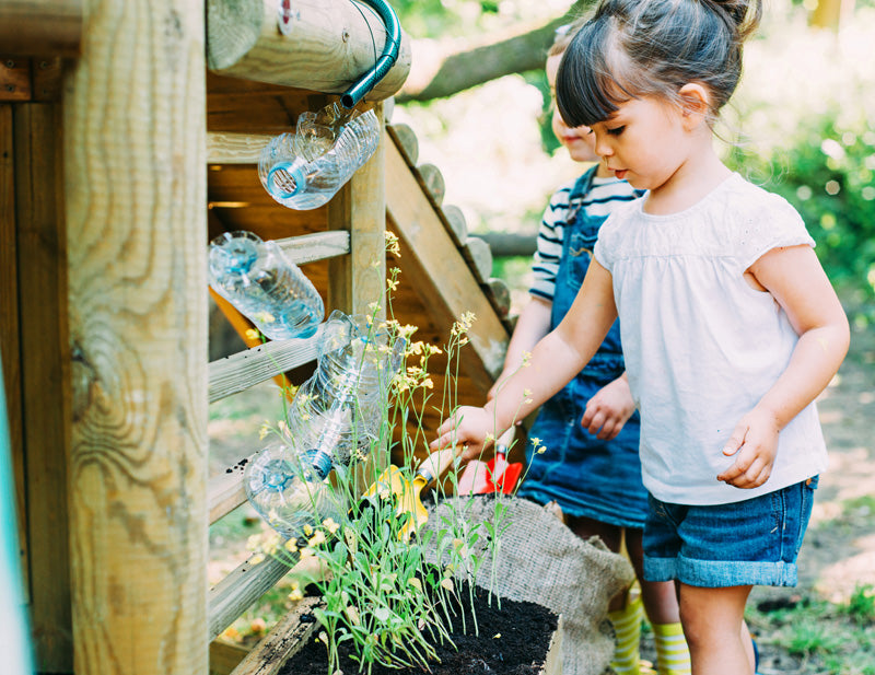 Plum Discovery Woodland Treehouse - 5036523062145