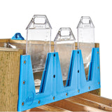 Plum Discovery Forest Water Run