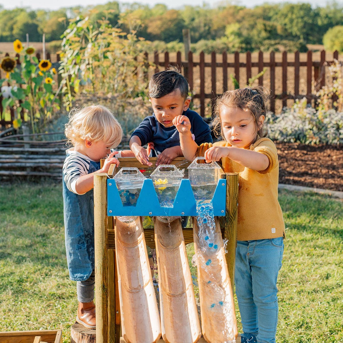 Plum Discovery Forest Water Run