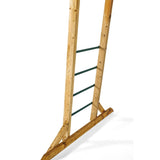 Ladder with metal rings