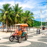 BERG Grand Tour Racer Commercial use shown in use with optional sun roof.