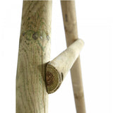 FSC Round pole timber