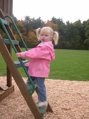 Access Ladder Handles