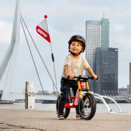 BERG Biky Safety Flag - 8715839078930