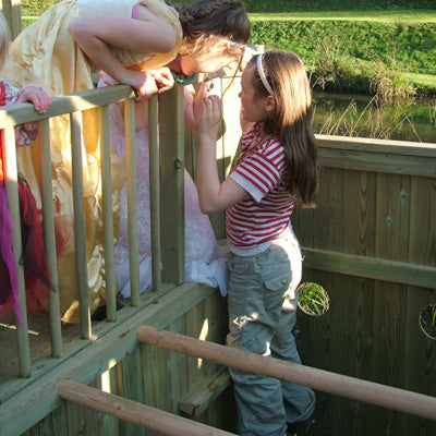 Steps upto raised platform